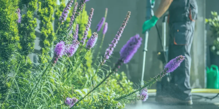 Spring Cleaning Rothwell